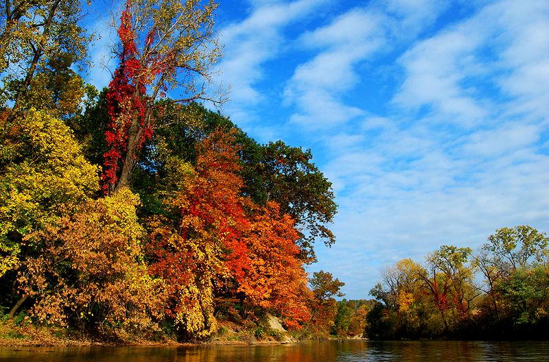 800px-Fall_foliage_on_the_Black_River