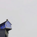homeowners insurance