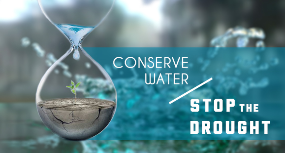 How To Conserve Water During A Drought Ais Insurance Blog