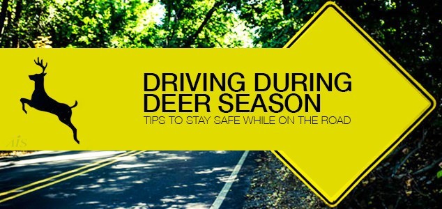Driving Tips For Deer Season