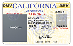 California Law AB 60 Insurance - CA Driver's license