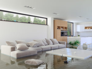 flood insurance