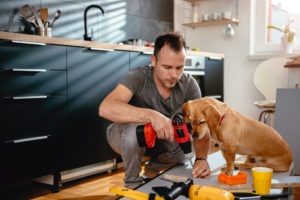 fixer upper dog helping 