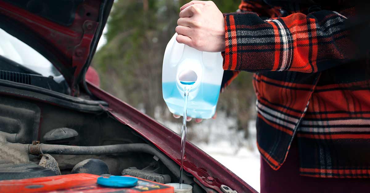 pouring antifreeze for winter