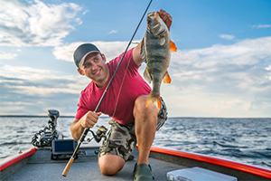 man catching a perch