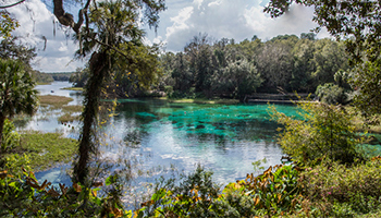 ocala national forest