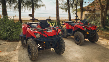 Two ATVs parked side by side