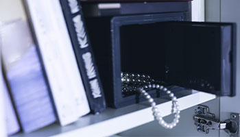 image of a jewelry safe 