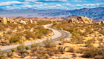 a road that leads into the Joshua Tree National Park desert in spring
