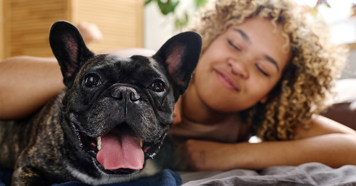 Does Renters Insurance Cover Pets Renting With Pets AIS Blog