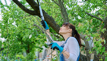 a woman cutting the loose branches on her tree