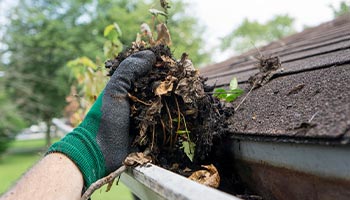 cleaning out the gutters