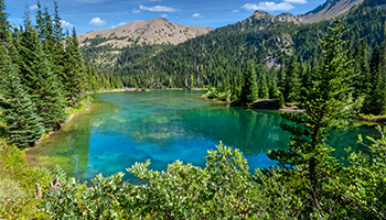 Olympic national park