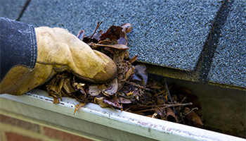 clearing gutter by preparing for fall