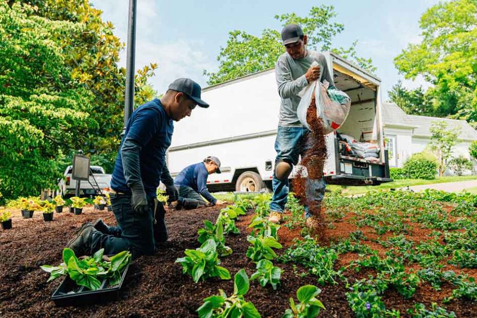 landscaping crew working