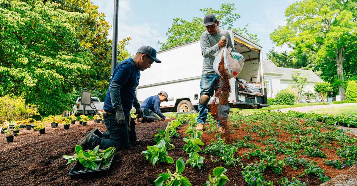 6 Insurance Coverages Every Landscaping Business Needs