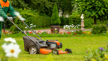 gardener working on landscaping using a lawn mower
