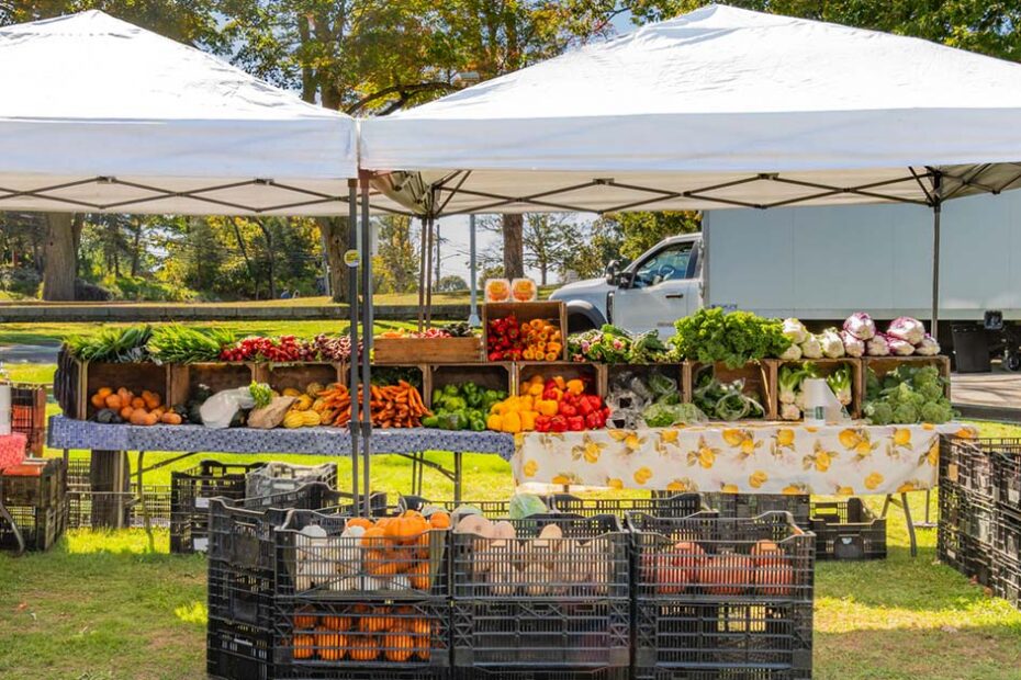 vendor insurance farmers market
